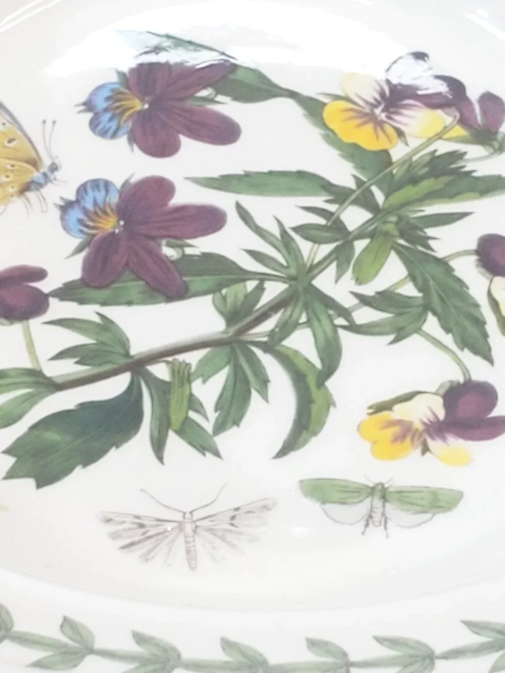 Vtg 1972 Portmeirion Botanic Garden Viola Tricolor Chamaedrys Soup Cereal Bowl